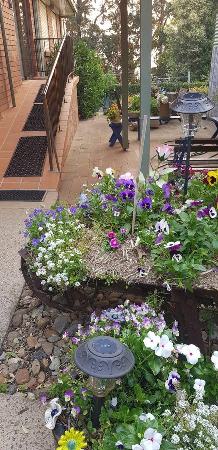 Manitzky Magic -B&B Home With Heart - Hobart Tourism 8