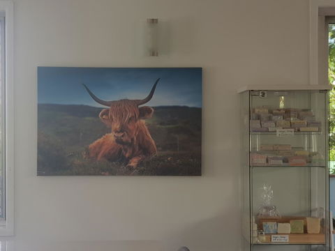 Highland House - Tourism TAS 4