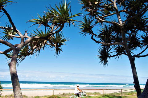 Grande Florida Beachside Resort - Hobart Tourism 34