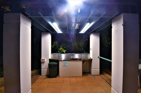 Grande Florida Beachside Resort - Hobart Tourism 40