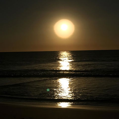 Meridian Alex Beach Apartments - Tourism TAS 9