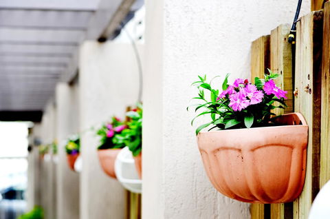 Spring Hill Mews Apartments - Tourism TAS 12