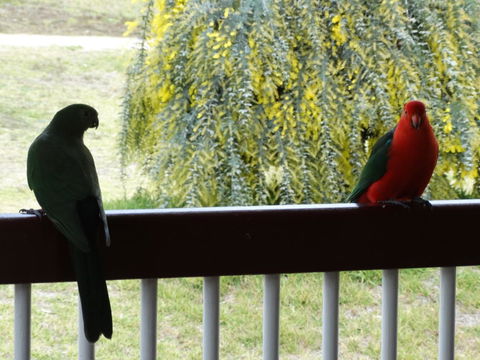 Loughmore House - Hobart Tourism 9