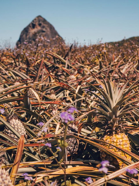 The Villa At The Bay - Tourism TAS 24