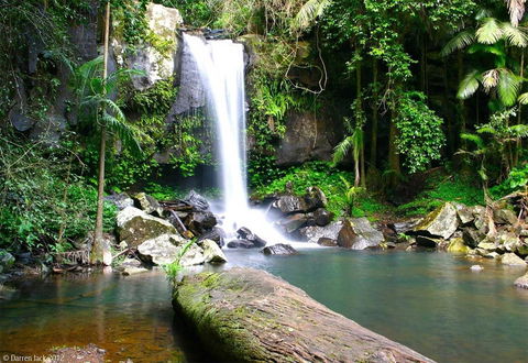 Curtis Falls Cottage - Hobart Tourism 22