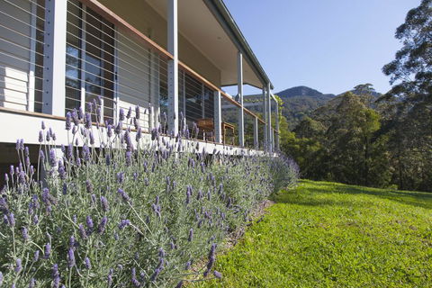 Wilderberry Cottage - Tourism TAS 3