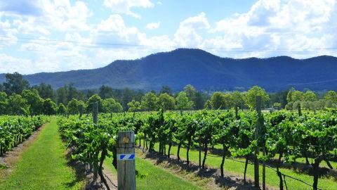 Winmark Wines - Tourism TAS 1