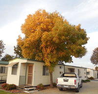 Wodonga Caravan  Cabin Park - Tourism TAS