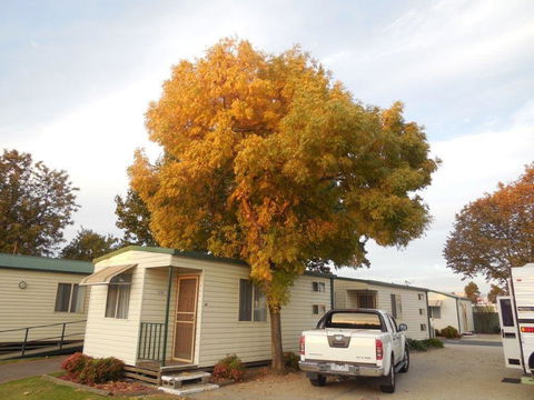 Wodonga Caravan & Cabin Park - Tourism TAS 0