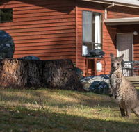 Wonderland Cottages - Tourism TAS