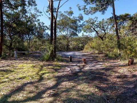 Wongaburra - Tourism TAS 2