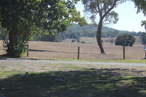 Wonky Stables Holiday Park - Tourism TAS 2
