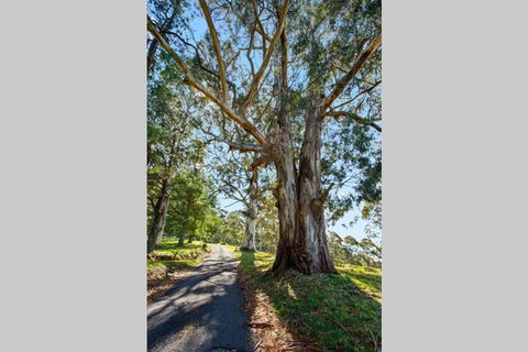 WOOLWAY - Tourism TAS 1