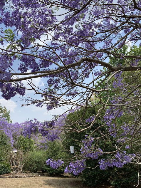 Wyndover Mountain Retreat - Hobart Tourism 1