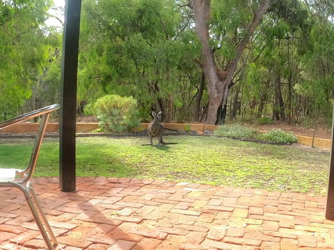 Yallingup Pet Friendly Bush Retreat - Hobart Tourism 3