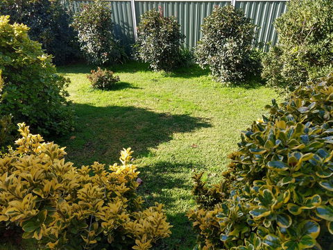 Young Goldrush Motel - Hobart Tourism 3
