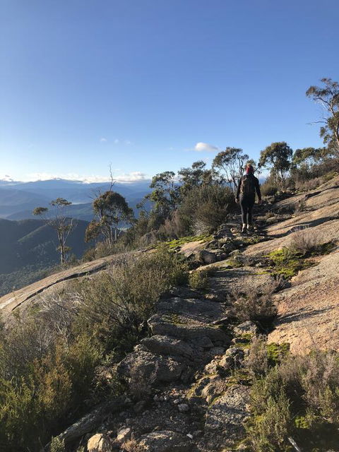 Yours And Theirs Pet Friendly Accommodation - Hobart Tourism 0