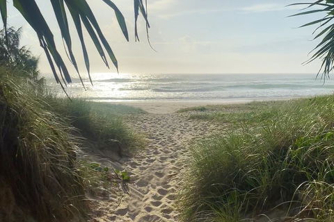 Ziba On Collins - Tourism TAS 3