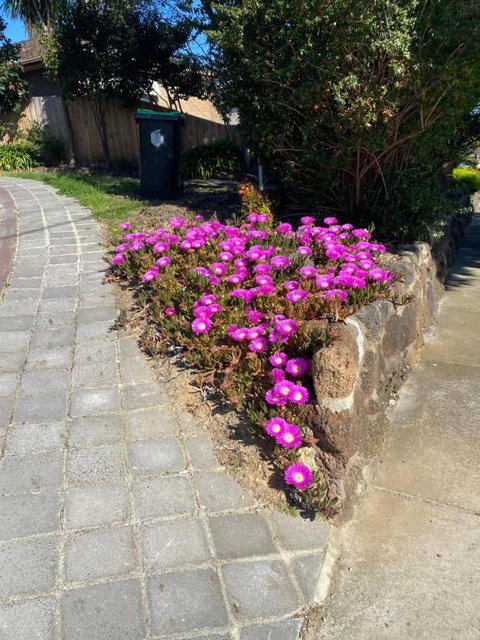 ADA Homestay - Tourism TAS 3