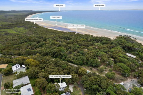 Adder View By Discover Stradbroke - Tourism TAS 3