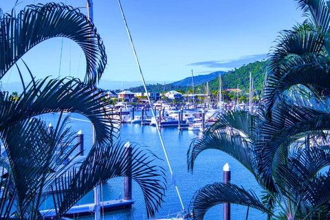 Absolute Luxury Marina Lifestyle At The Port Of Airlie Beach - Tourism TAS 4