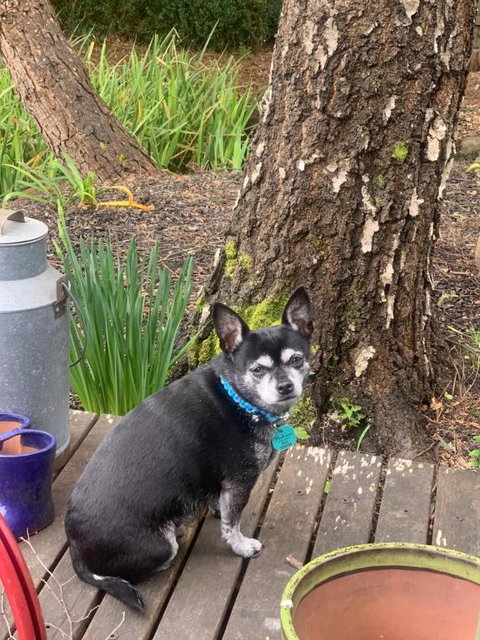 Akyra - Tourism TAS 3