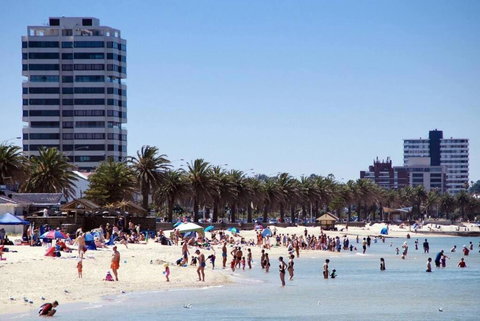 Albert Park Bespoke Brilliance 4Bed 2Bath - Tourism TAS 1