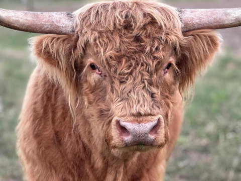 Alkira Cottage - Tourism TAS 2