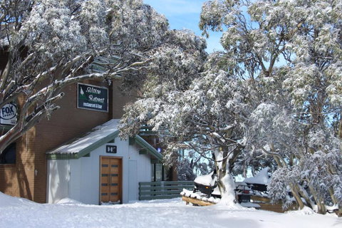 Alpine Retreat Mt Buller - Tourism TAS 0