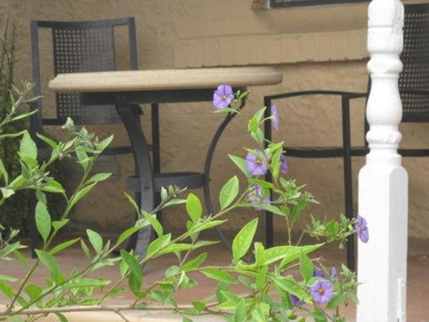 Amalie Cottage Waikerie Unit 1 - Hobart Tourism 2