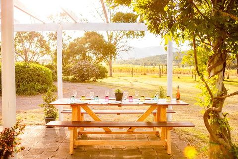 Among The Vines - Tourism TAS 1