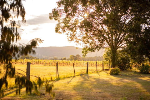 Among The Vines - Tourism TAS 2