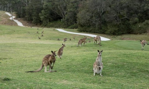 Anglesea River Apartment 23 - Tourism TAS 4