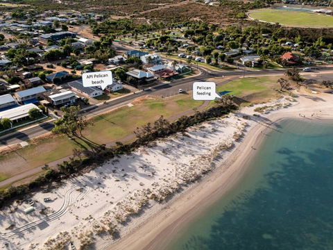 API Pelican Beach Front Apartments Kalbarri - Hobart Tourism 1