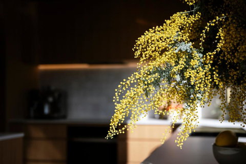 Architectural Gem In Central Red Hill - Tourism TAS 2