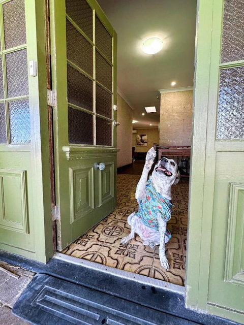 Ardgreian - Tourism TAS 3