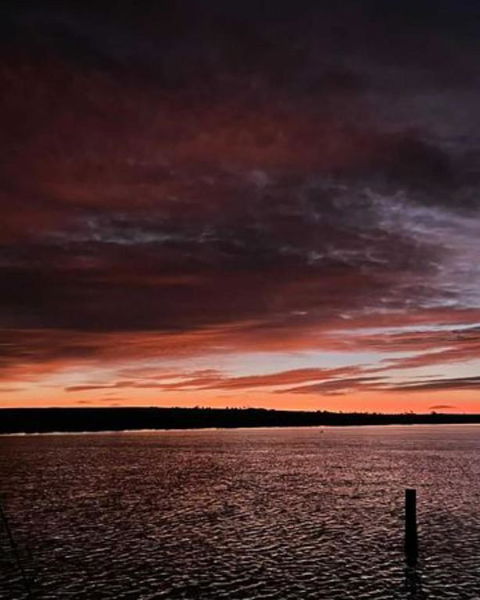 Ark-imedes - Unique Float Home On The Murray River - Tourism TAS 4
