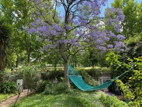 Art House On The Park - Hobart Tourism 4