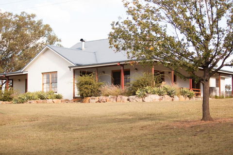 Audrey Wilkinson Vineyard - Tourism TAS 4