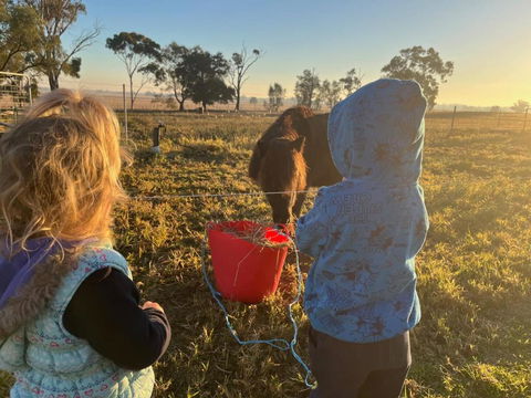 Avondale Heights By Tiny Away - Tourism TAS 4