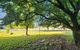 Bahwidgee Lodge - Riverside Retreat - thumb 4