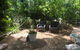 Banksia Cottage In Perth Hills - thumb 4