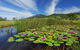 Barrington Hideaway- River Cottages - thumb 4
