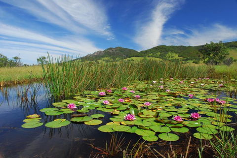 Barrington Hideaway- River Cottages - Hobart Tourism 4