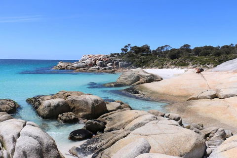 Bay Of Fires - Beachfront - Sloop Cottage - Hobart Tourism 0