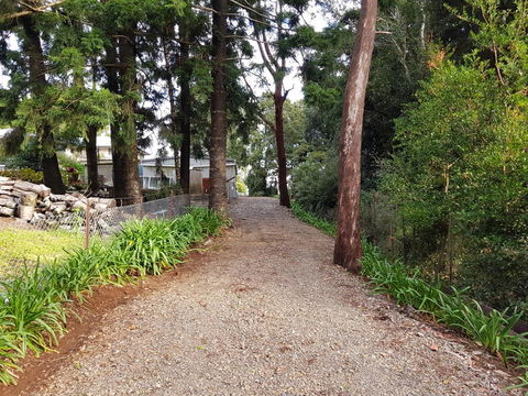 Bee-Haven Cottage - Tourism TAS 4