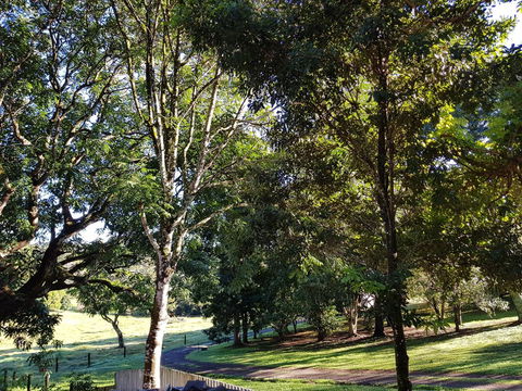 Bee-Haven Cottage - Tourism TAS 7