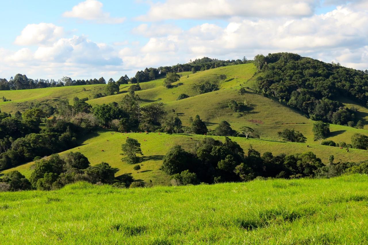 Reesville QLD Tourism TAS
