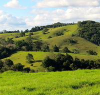 Maleny Springs Farm - Tourism TAS