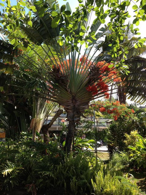 Port Douglas Apartments - Adults Only Oasis - Tourism TAS 39